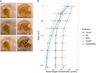 Marine Sponges in a Snowstorm – Extreme Sensitivity of a Sponge Holobiont to Marine Oil Snow and Chemically Dispersed Oil Pollution